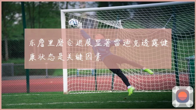 东詹里磨合进展显著雷迪克透露健康状态是关键因素